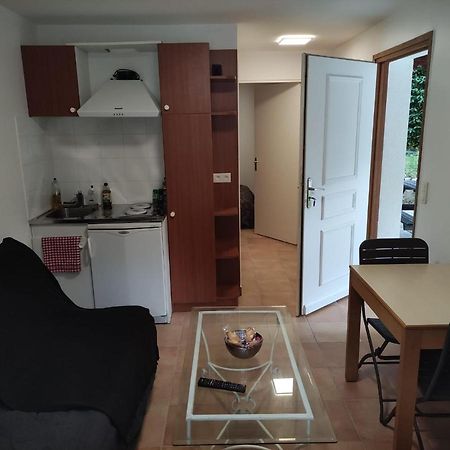 Deux Pieces Avec Grande Terrasse Au Calme Lägenhet Saint-Martin-Vésubie Exteriör bild